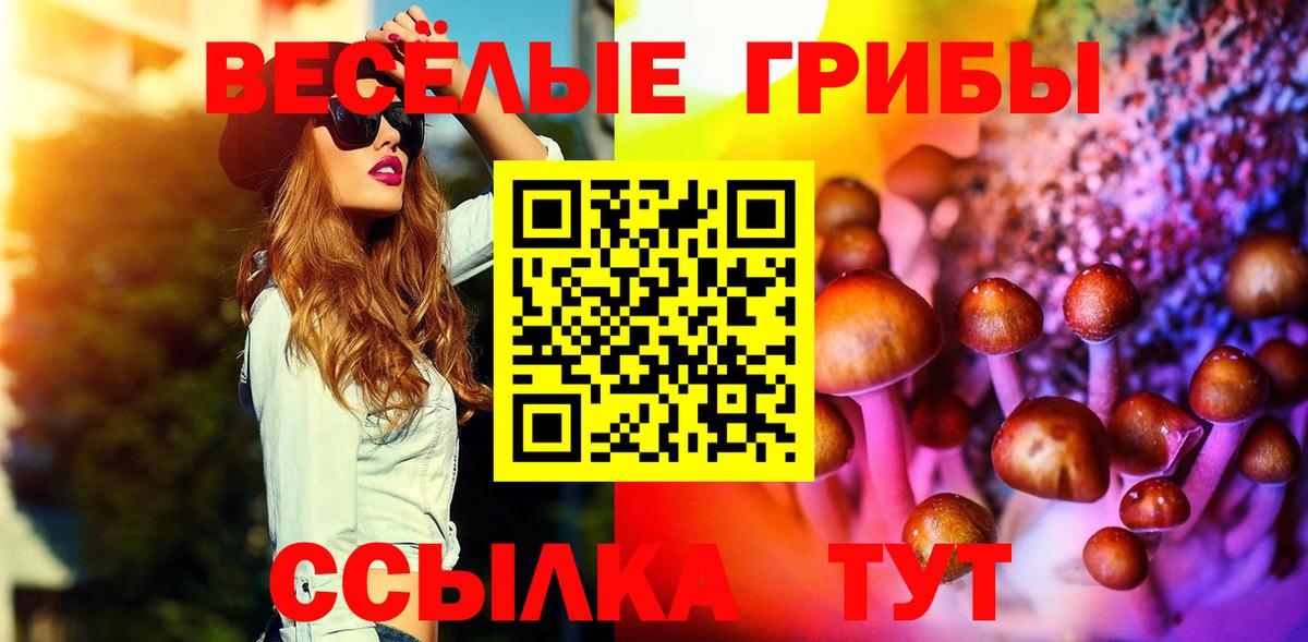 Люберцы  Псилоцибиновые грибы MAGIC MUSHROOMS  Вход с VPN 